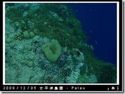 palau-day-3-大斷層-257