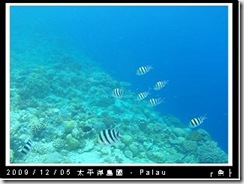 palau-day-3-大斷層-278