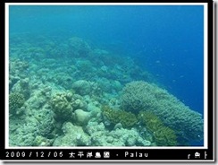 palau-day-3-大斷層-274