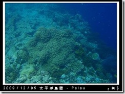 palau-day-3-大斷層-259