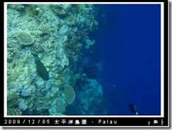 palau-day-3-大斷層-254