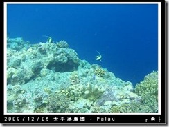 palau-day-3-大斷層-273