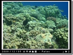 palau-day-3-大斷層-286