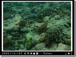 palau-day-3-大斷層-243