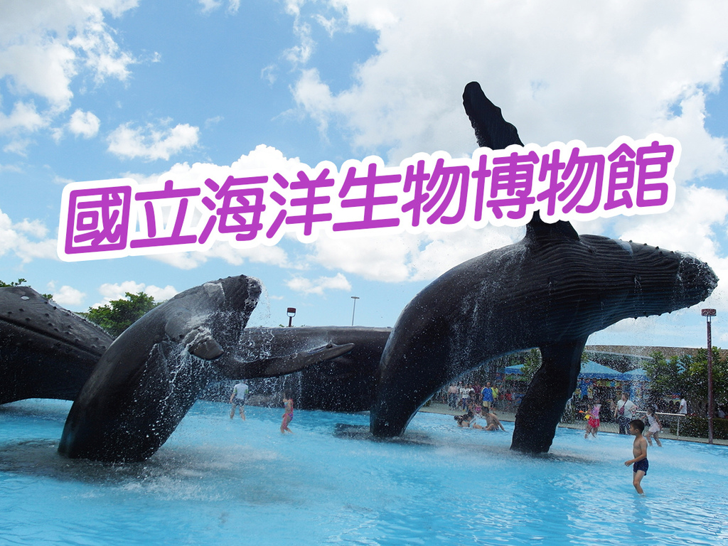 20170819國立海洋生物博物館 (46).jpg