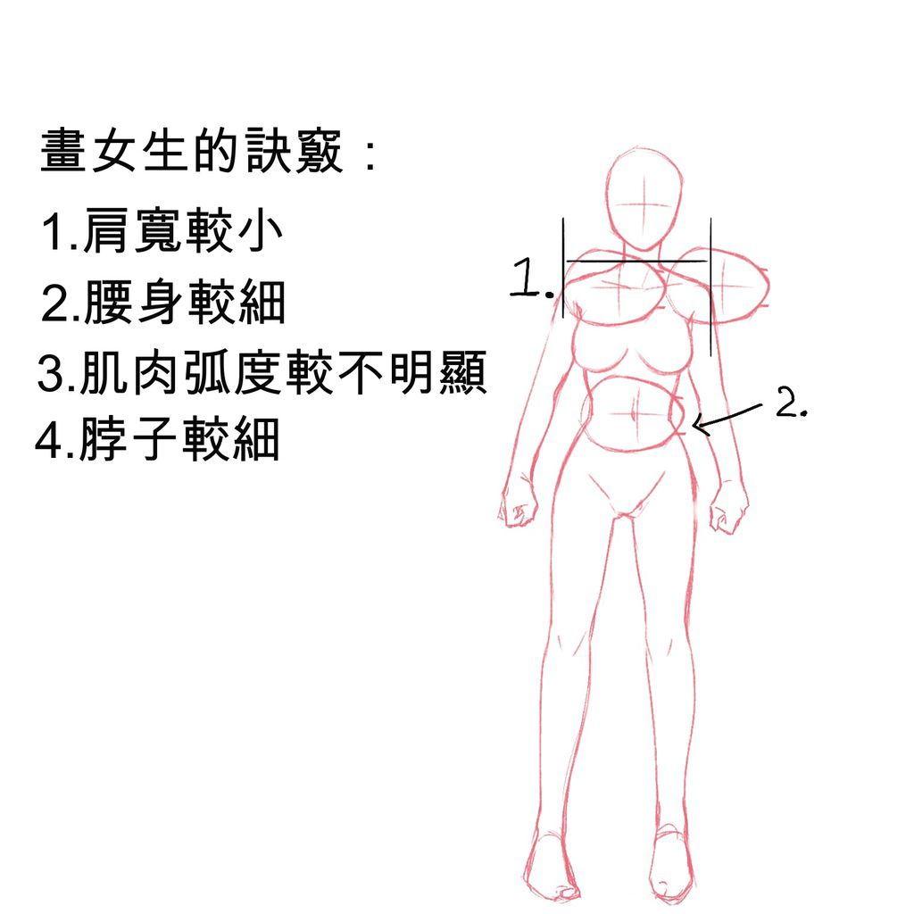 男女生身體畫法3.JPG