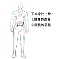男女生身體畫法7.JPG