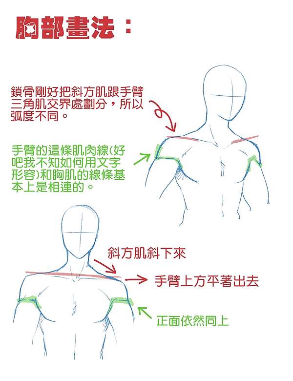 教學 肌肉篇 Remiashamill的拉哩拉雜 痞客邦