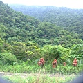 20090725碩c 082.JPG