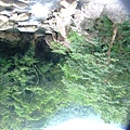 20090725碩c 096.JPG