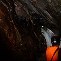 20090725碩c 103.JPG
