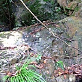 20090725碩c 112.JPG