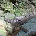 20090725碩c 115.JPG