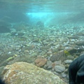 20090725碩c 116.JPG