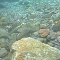 20090725碩c 117.JPG