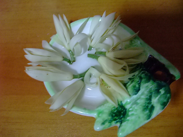 DSCF2128.JPG DSCF2128.JPG