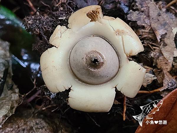 141932.jpg 141932.jpg