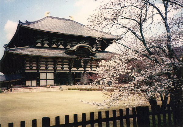 奈良東大寺櫻-02.jpg