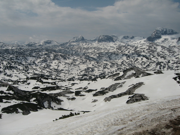 標高約2000m