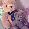 BEAR and 寶貝 *