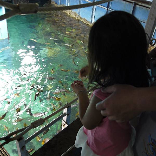 P1180597.JPG