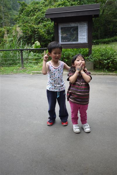P1030020.jpg