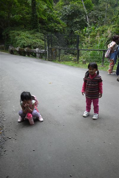 P1030019.jpg