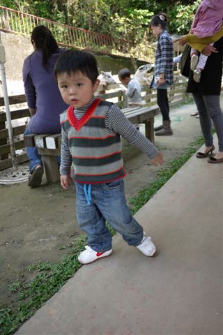 P1000560.JPG
