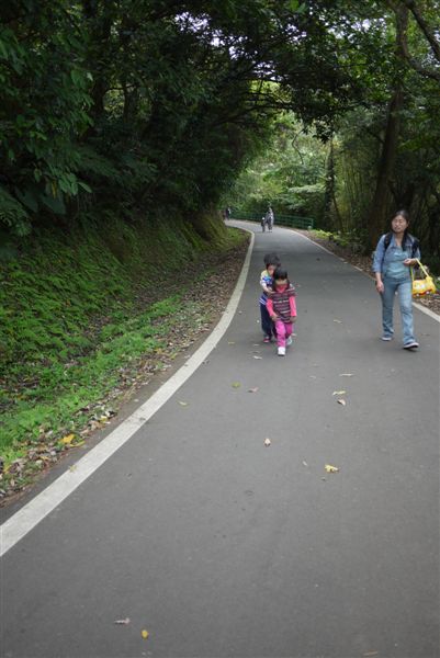P1030002.JPG