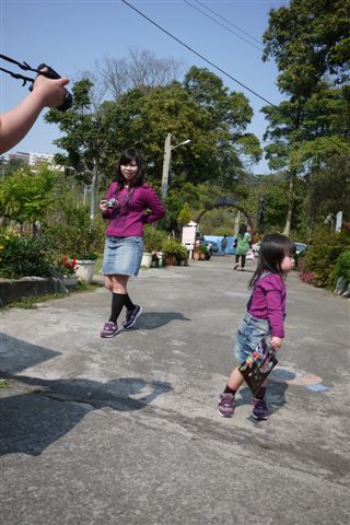 P1000539.JPG