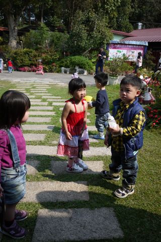 P1000535.JPG