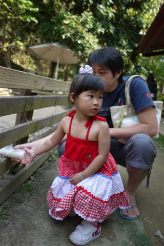 P1000546.JPG