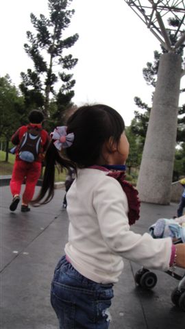 DSC09190.JPG