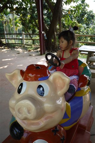 P1000563.JPG
