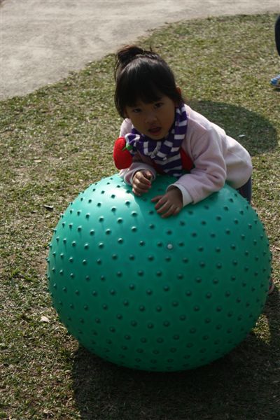 IMG_6985.JPG