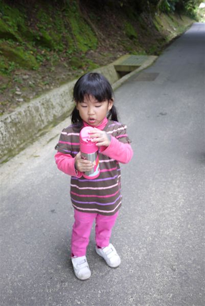 P1030016.JPG