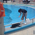 20100615311.JPG