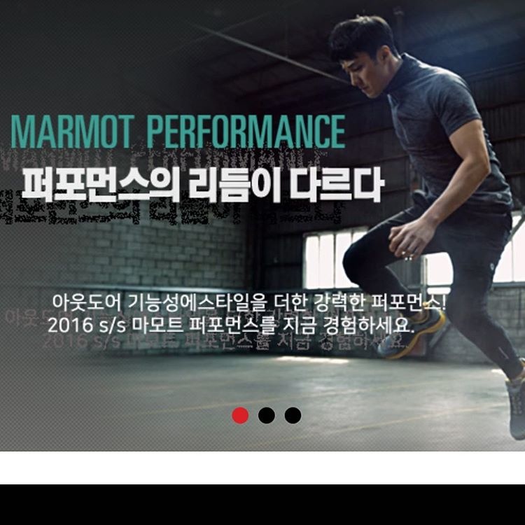 2109418793_a4a6ca1e_marmot_korea.jpg