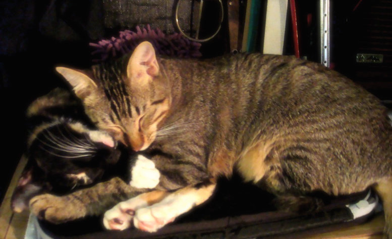 DSC01531.JPG DSC01531.JPG