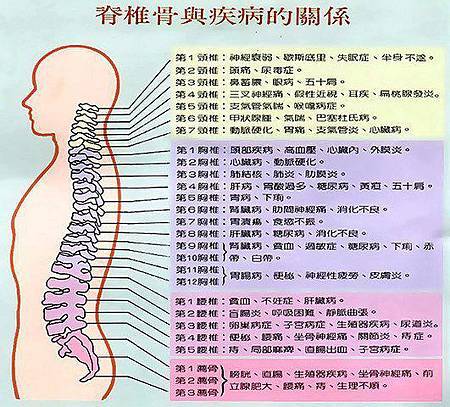 脊椎骨與疾病的關係