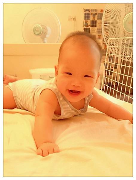 弟寶兒。大小事