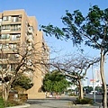 P1010076拷貝.jpg