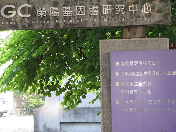 陽明大學一隅-3