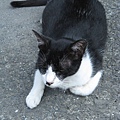 IMG_6782.JPG