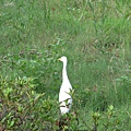 IMG_6817.JPG