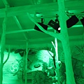 IMG_7997.JPG