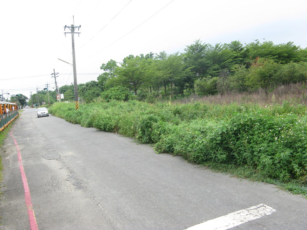 五分車回程過馬路中