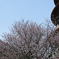 IMG_0801.JPG