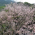 IMG_0813.JPG