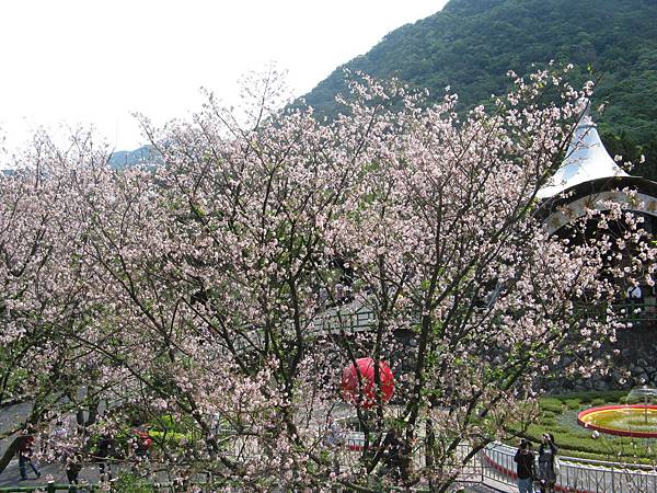 IMG_0817.JPG